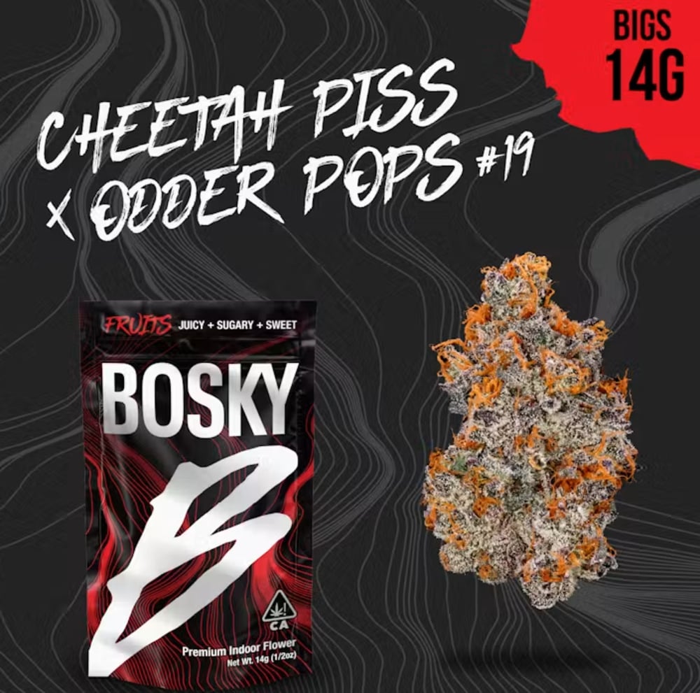 Cheetah Piss x Odder Popz #19