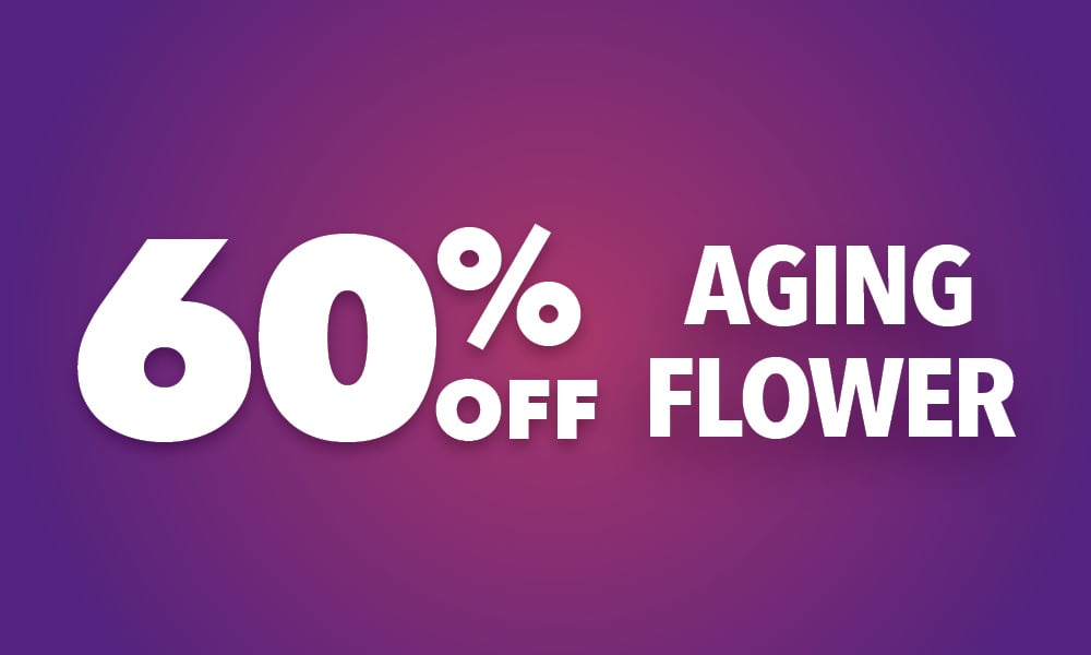 Aging Flower 60% Off special