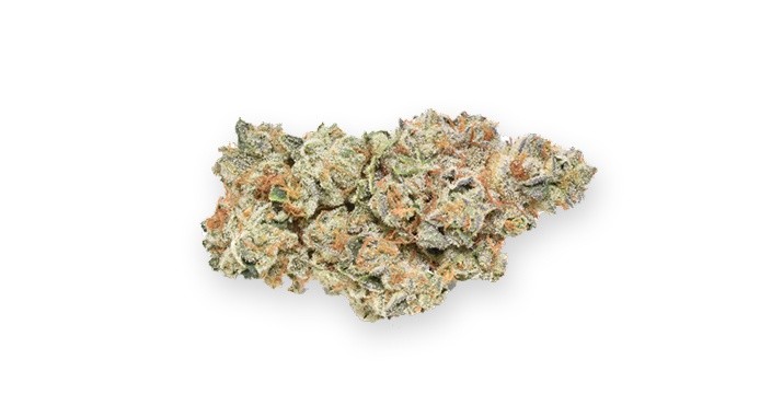 ANIMAL FACE FLOWER | 3.5G
