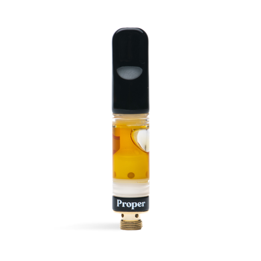 Black Maple 22