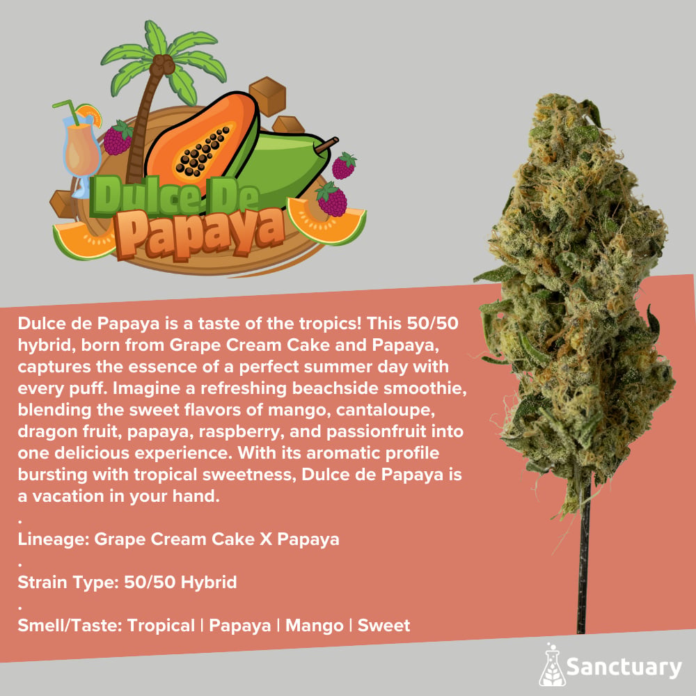 Sanctuary - Dulce De Papaya Flower