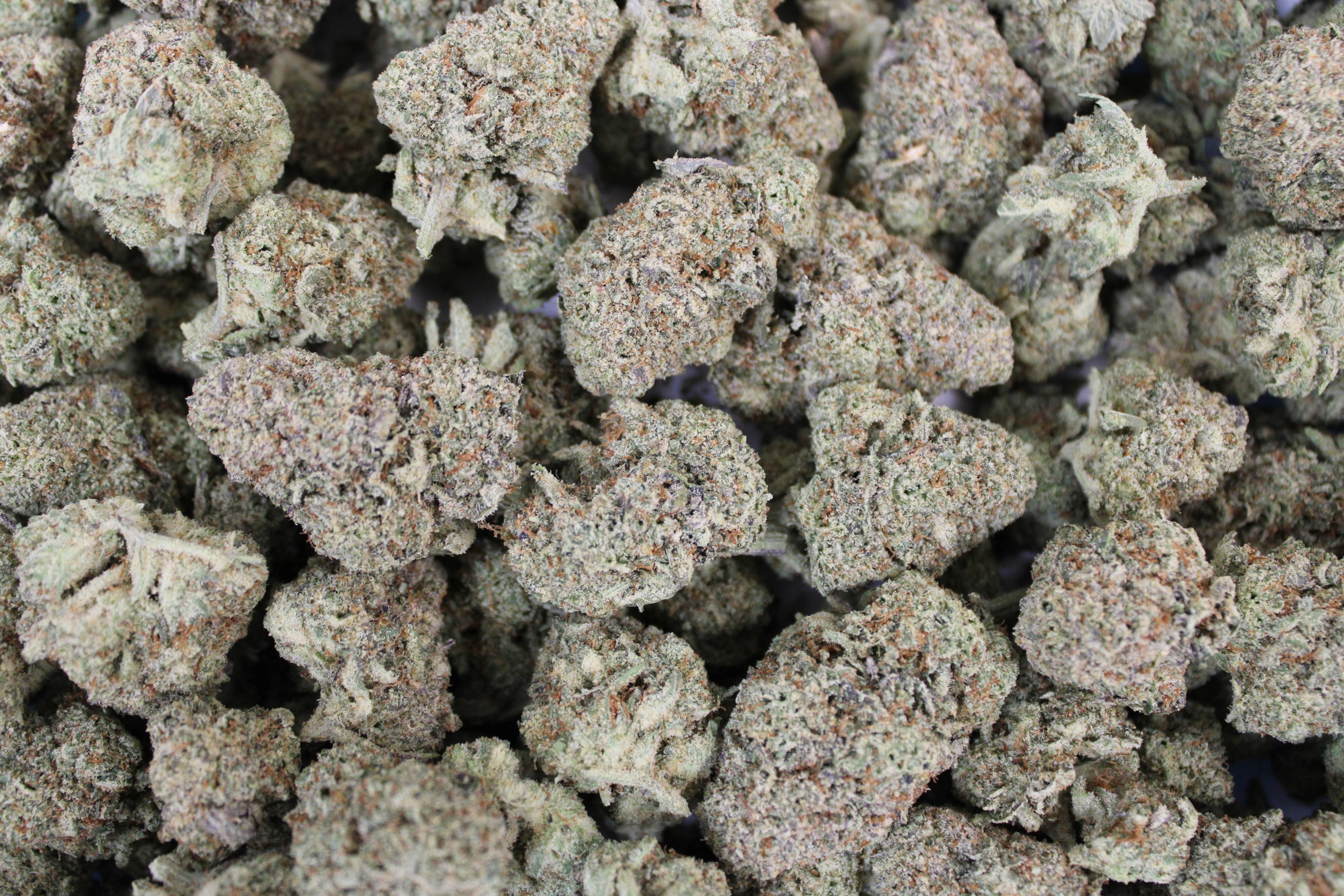 Kind Care - Furious George - Bulk Flower - Hybrid