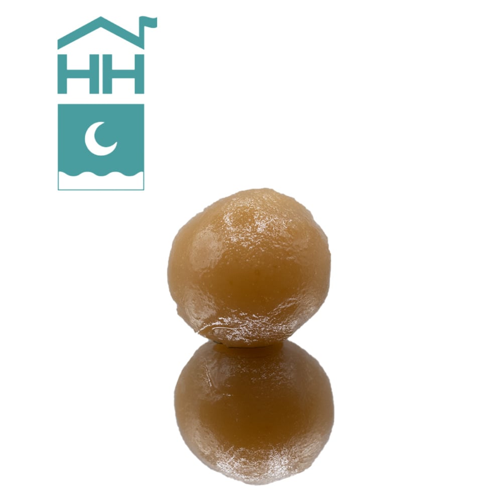 Harbor House Collective  Motorbreath Badder