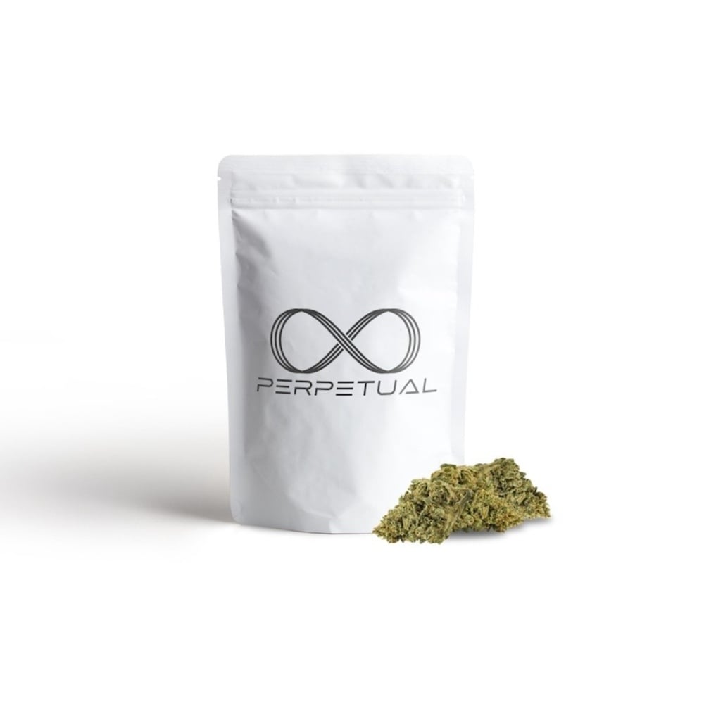 Perpetual - Golddust #5 Flower Perpetual - Golddust #5 Flower