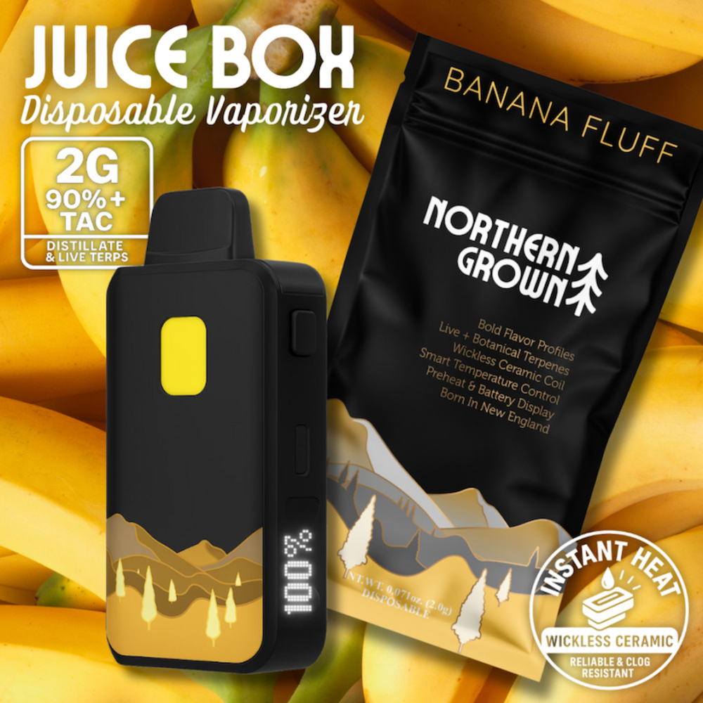 Northern Grown - Banana Fluff Juice Box Disposable (2g)