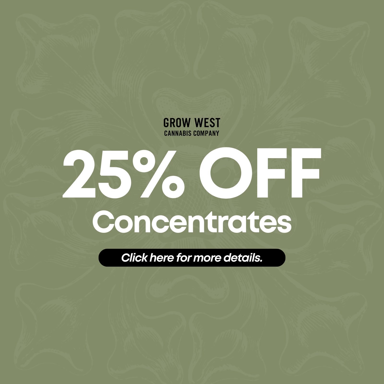25% Off Concentrates special