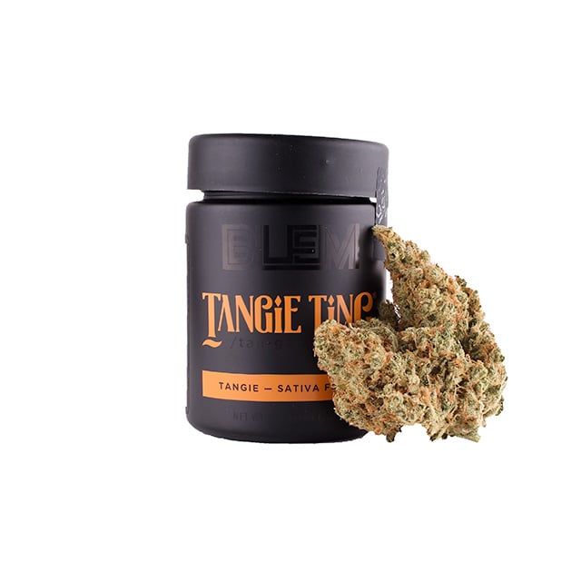 Tangie Ting Tangie Ting