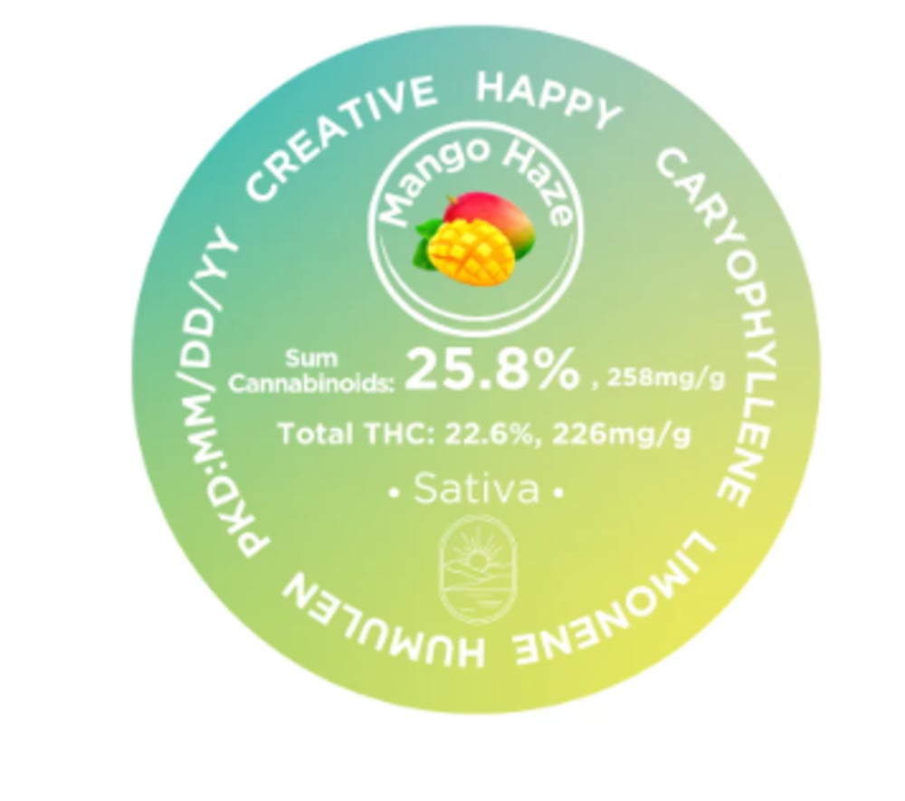 Mango Haze Mango Haze