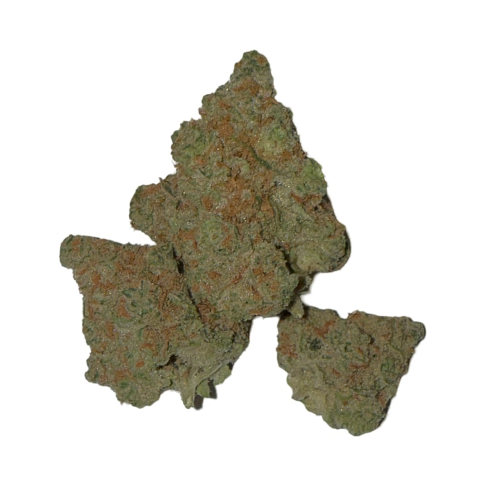 Yellow Gum