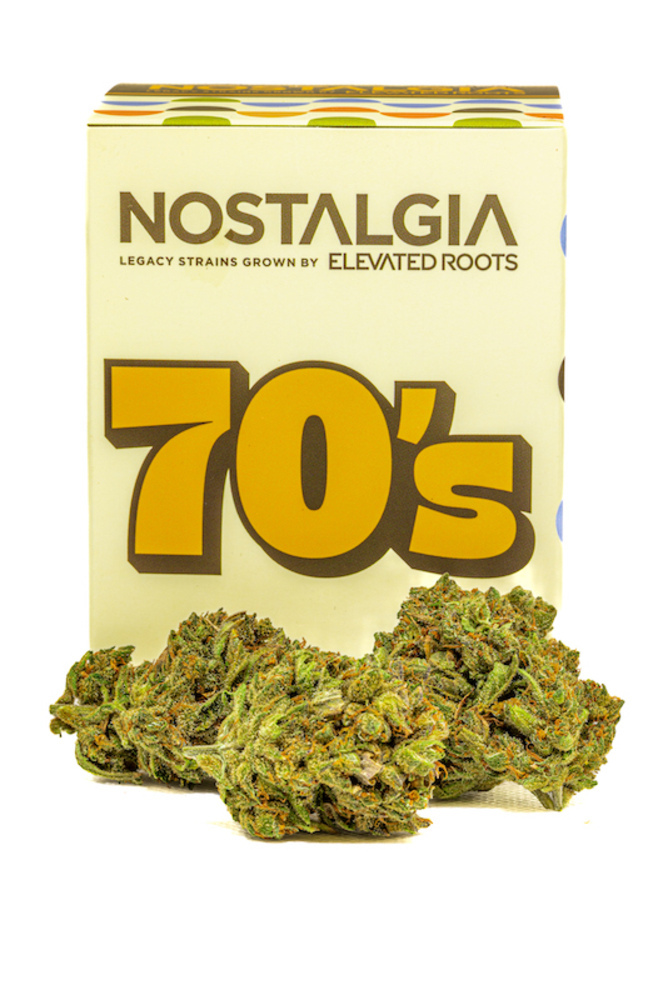 CRDB70%マウイワウイ Shop Nostalgia - Maui Waui 70's Flower | Fine Fettle - Smyrna