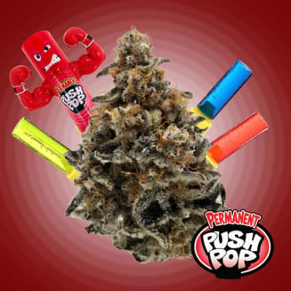 Permanent Push Pop Permanent Push Pop