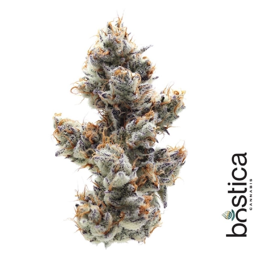 Bostica - Dante's Inferno Smalls