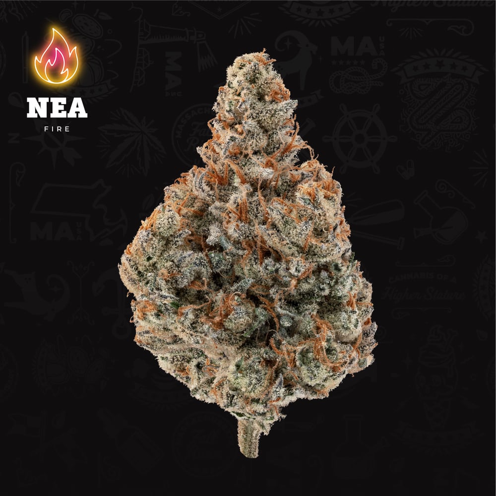 NEA Fire - Animal Mints Flower