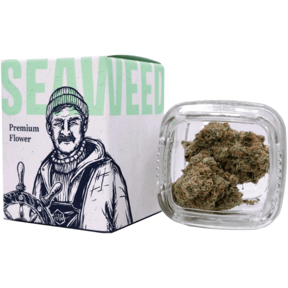 Ocean Breeze Axle Grease Tree House Craft Cannabis Dispensary