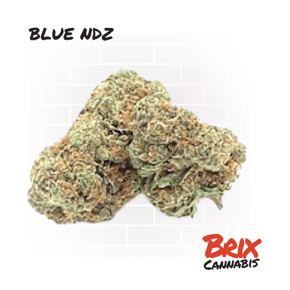 Shop BRIX Cannabis - Blue NDZ (H) Flower C0101000142 | Fine Fettle