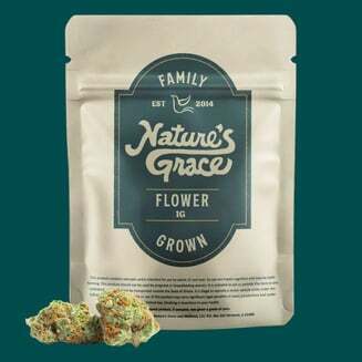 NGW Signature -- Bodega Berriez -- Flower