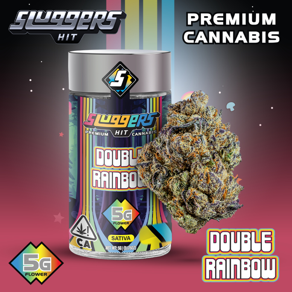 2dd5bd0a-e2c3-4cb8-b00f-