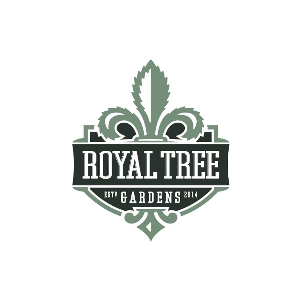 Frosted Jungle [.5g] Royal Tree Gardens 7 Pack Pre Roll Jane