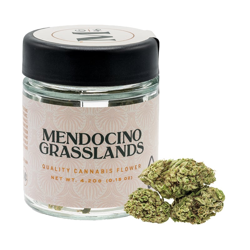Mendocino Grasslands: Governmint Oasis