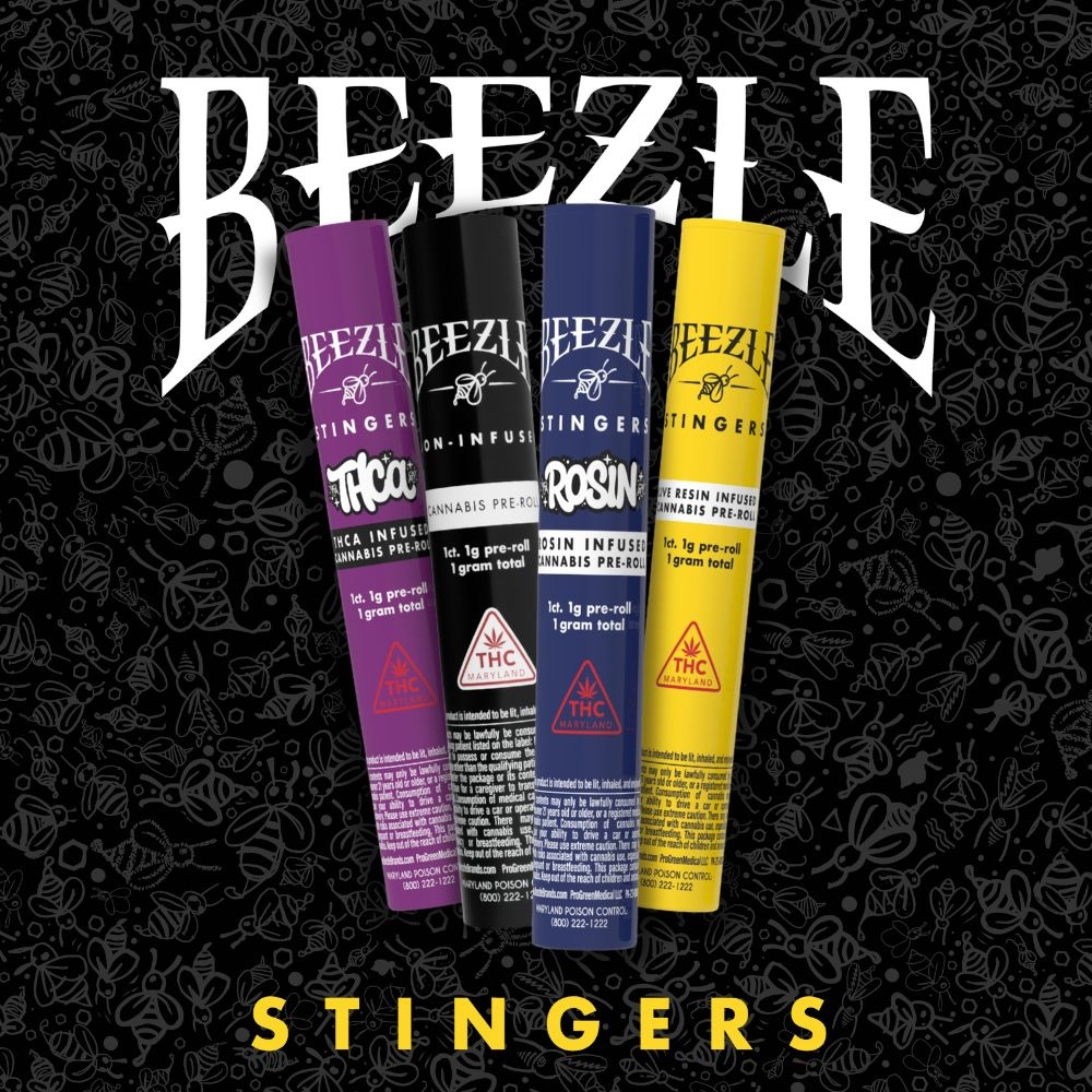 Guava Cream Cake [1g]