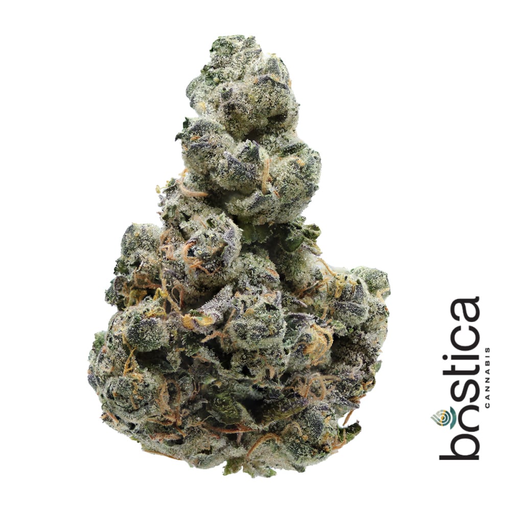 Bostica - Gelato 33 Flower