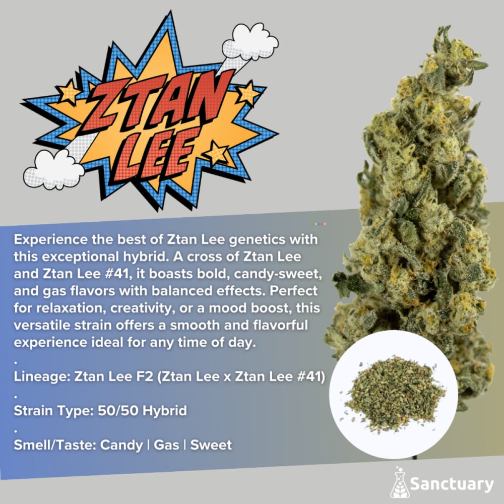 Sanctuary - Ztan Lee Shake Sanctuary - Ztan Lee Shake