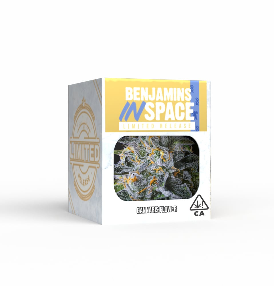 Decibel Gardens — Benjamins In Space