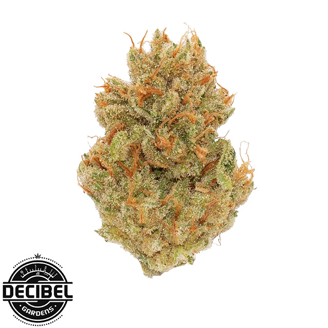 Grape Jet Fuel
