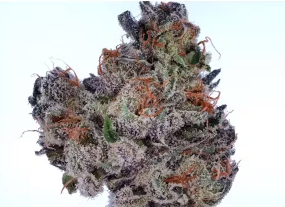 Sour Sage OG Sour Sage OG