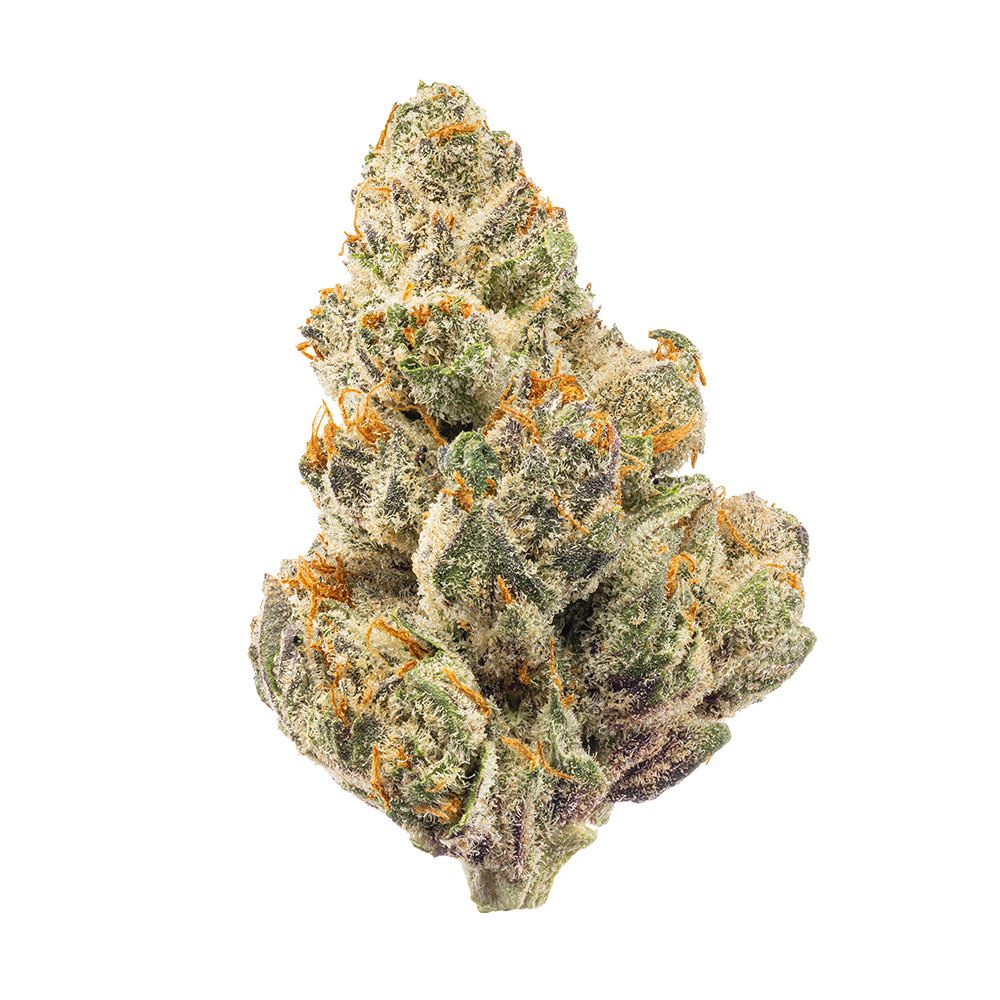 Shop GDF | Flower | 3.5g | Prepack | Highway Hotel | Hybrid