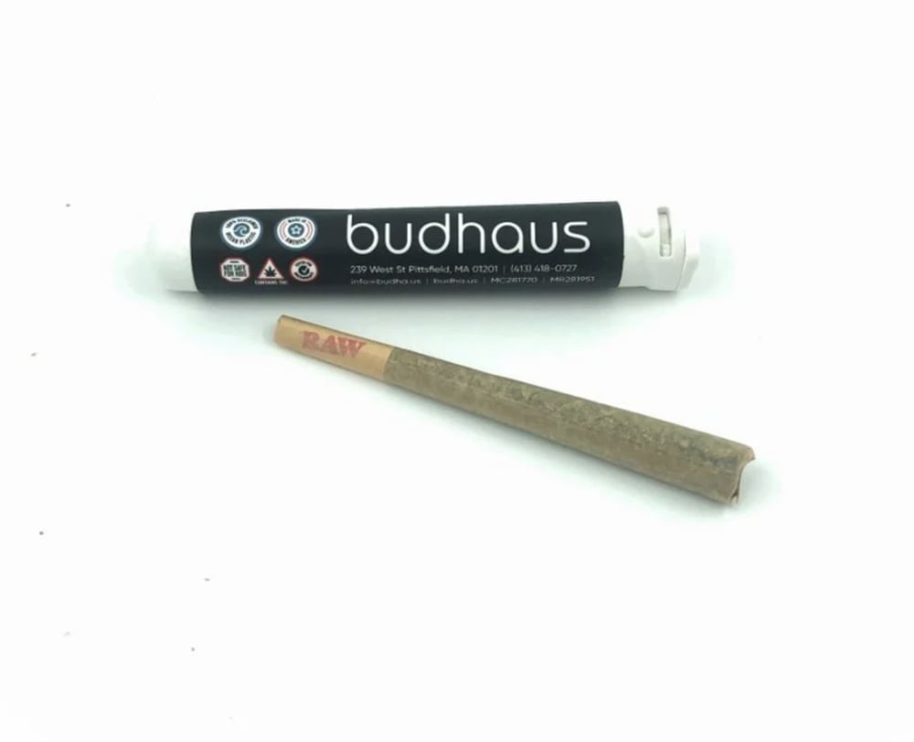 Tropicana Punch [1g]