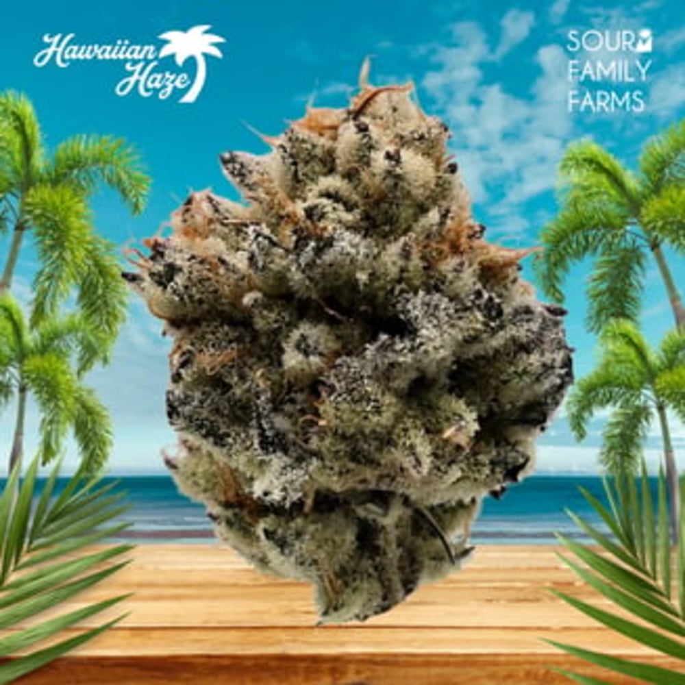 Hawaiian Haze Hawaiian Haze