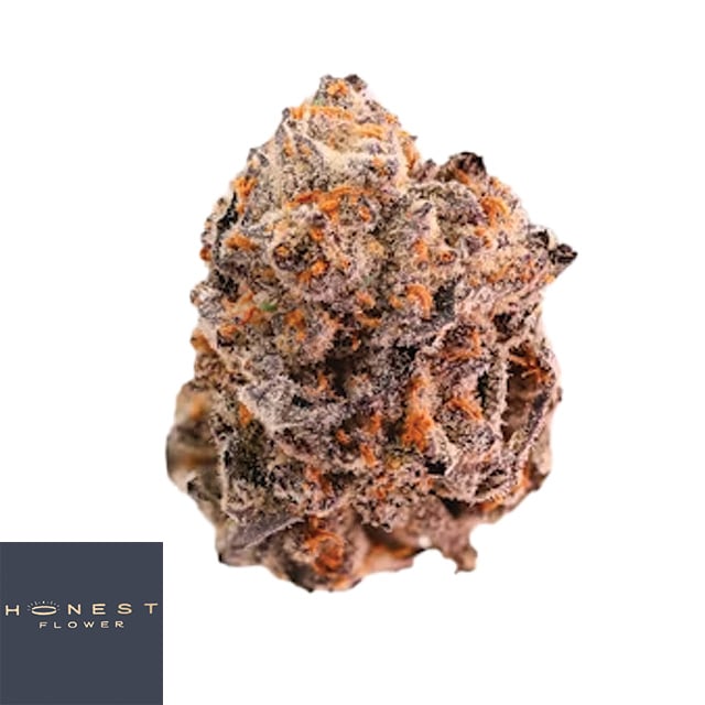 Purple Durban Poison