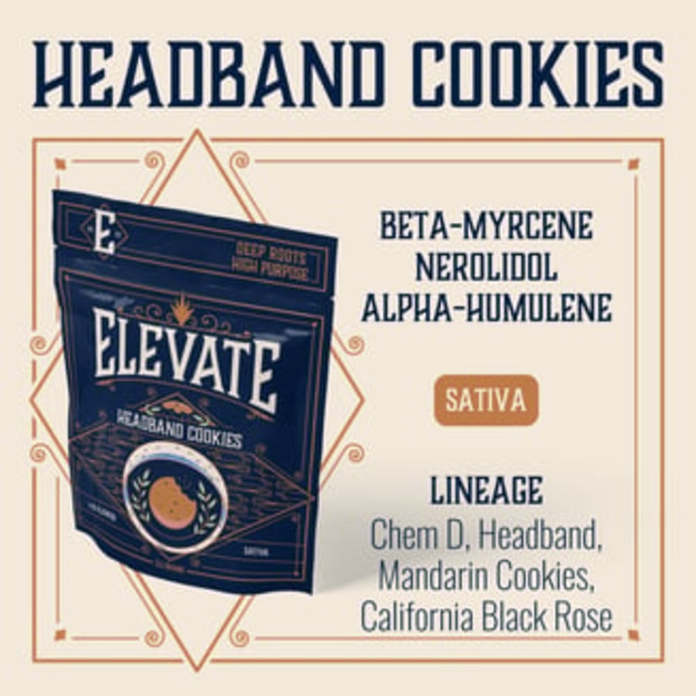 Headband Cookies Headband Cookies