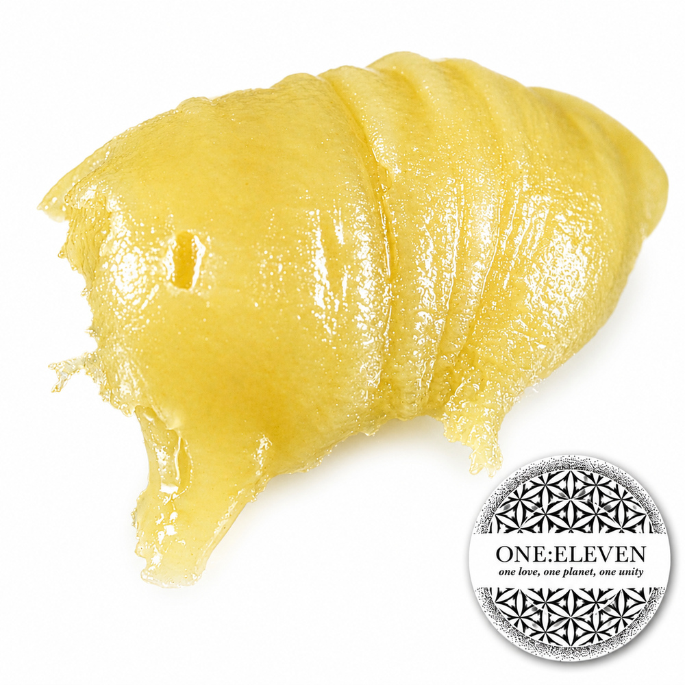 Don Mega