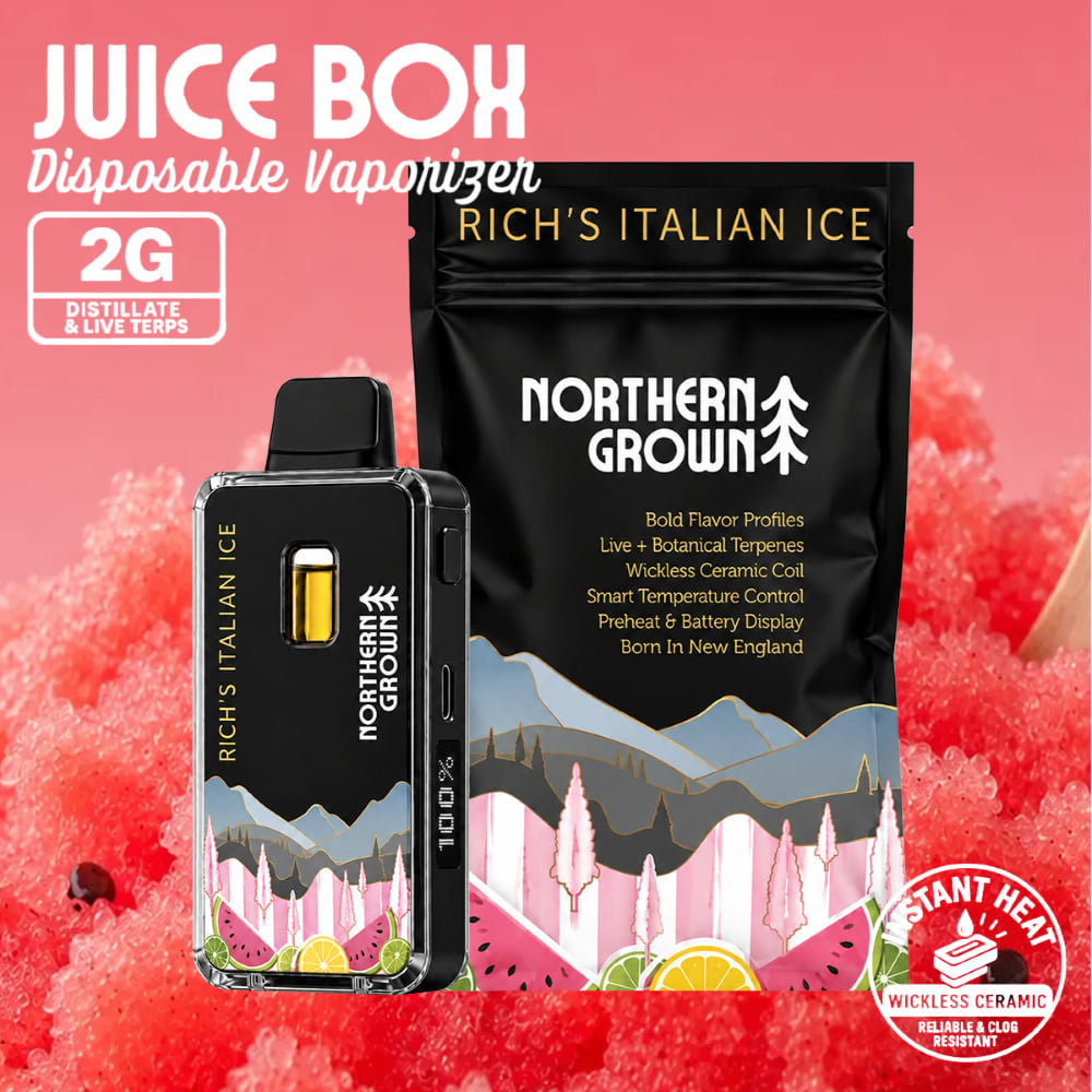 Northern Grown - Rich's Italian Ice Juice Box Disposable (2g)