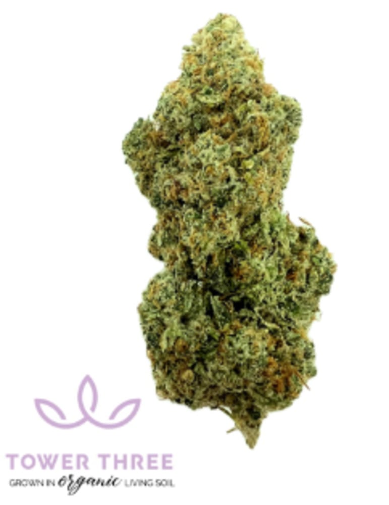 Shop 007 Up | Rooted In, Newbury Dispensary Boston, MA