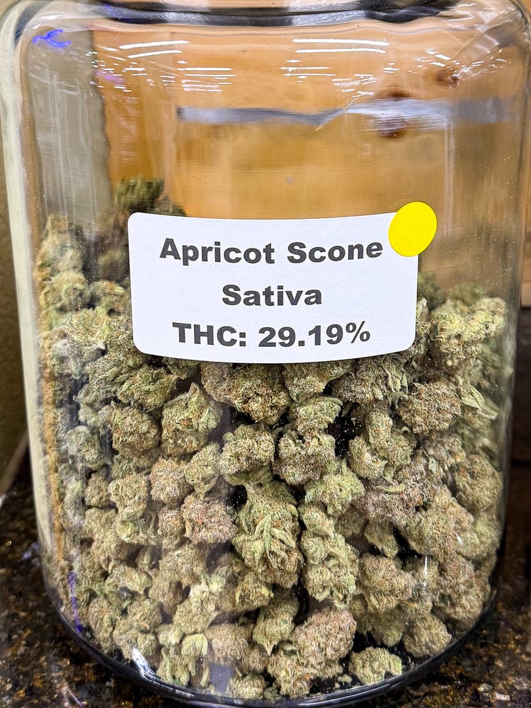 Apricot Scone