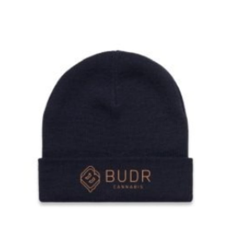 Cuff Beanie Navy