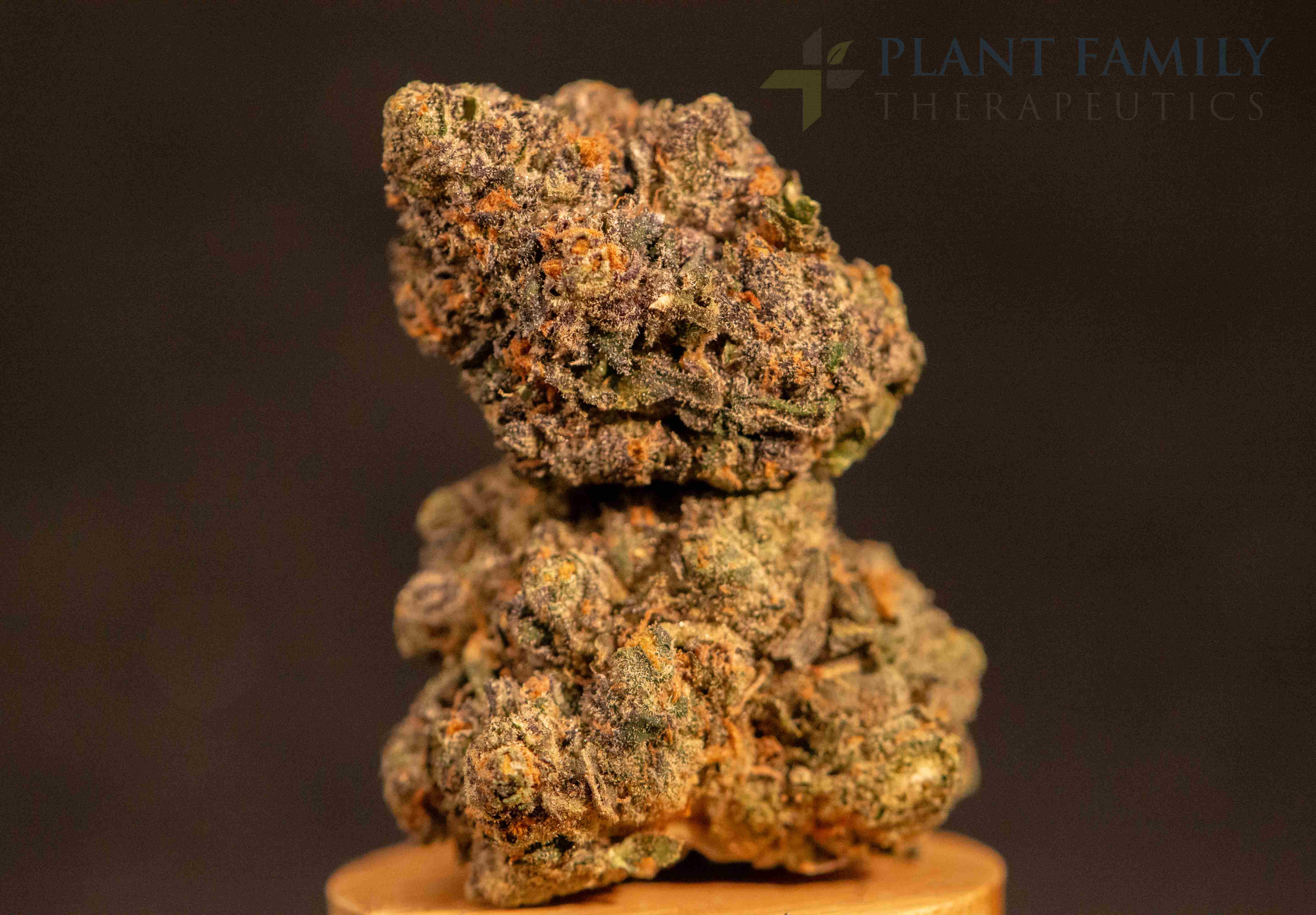 Shop Jokerz #53 | Plant Family Therapeutics Dispensary Mountain