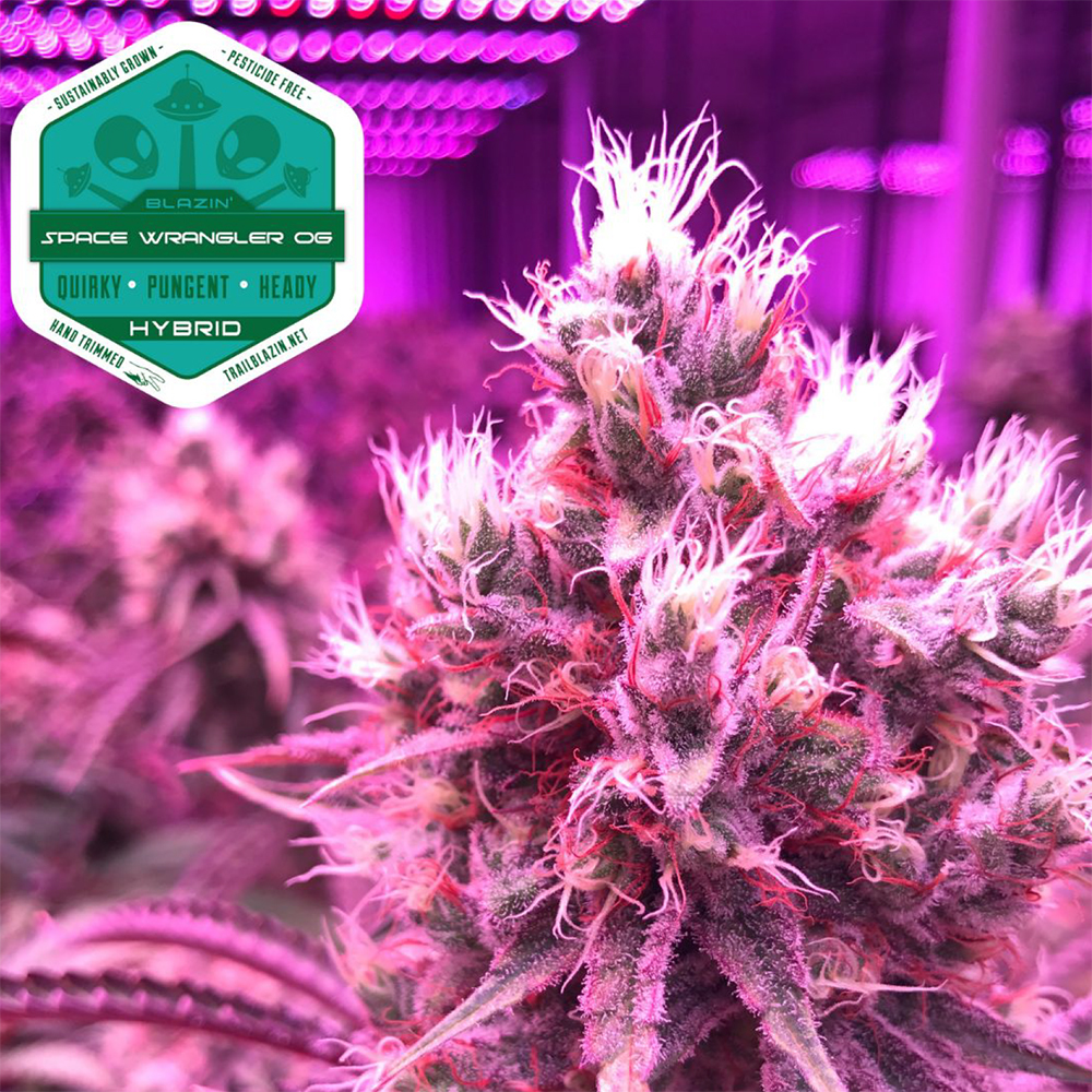 Space Wrangler OG