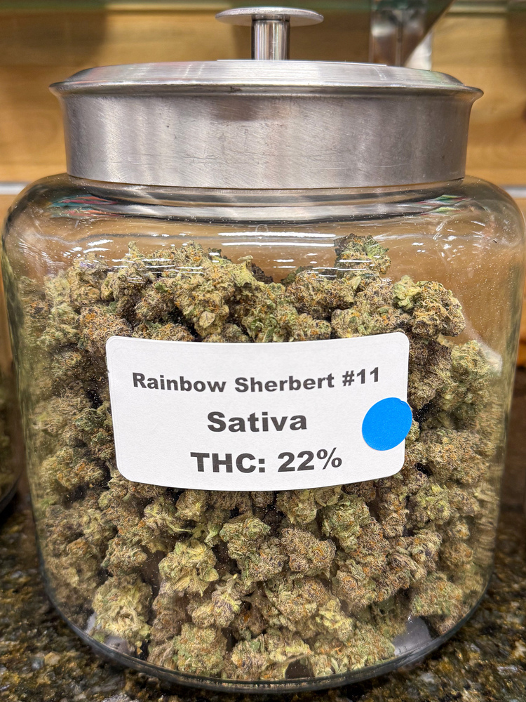 Rainbow Sherbert #11