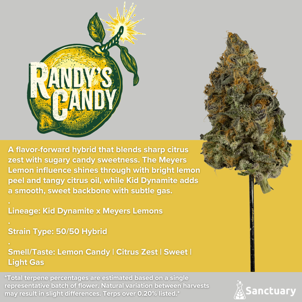 Shop Sanctuary - Randy's Candy Flower | Fine Fettle - Smyrna