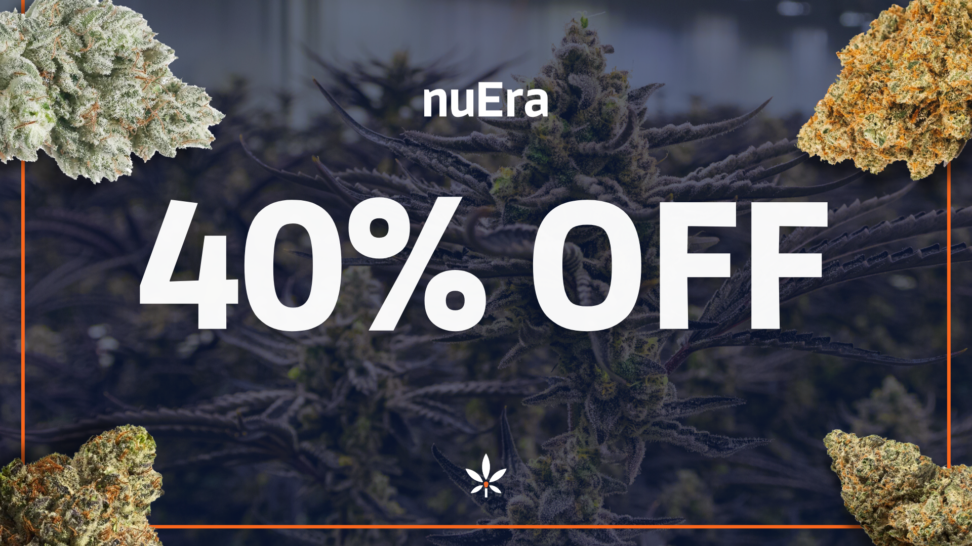 🔥The Great Chicago Fire Deals 40%🔥