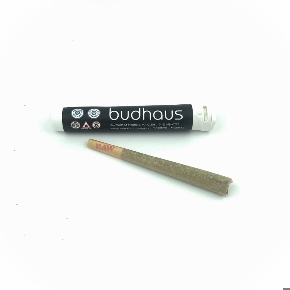 Budhaus - Bluenana Pre-Roll (1g)