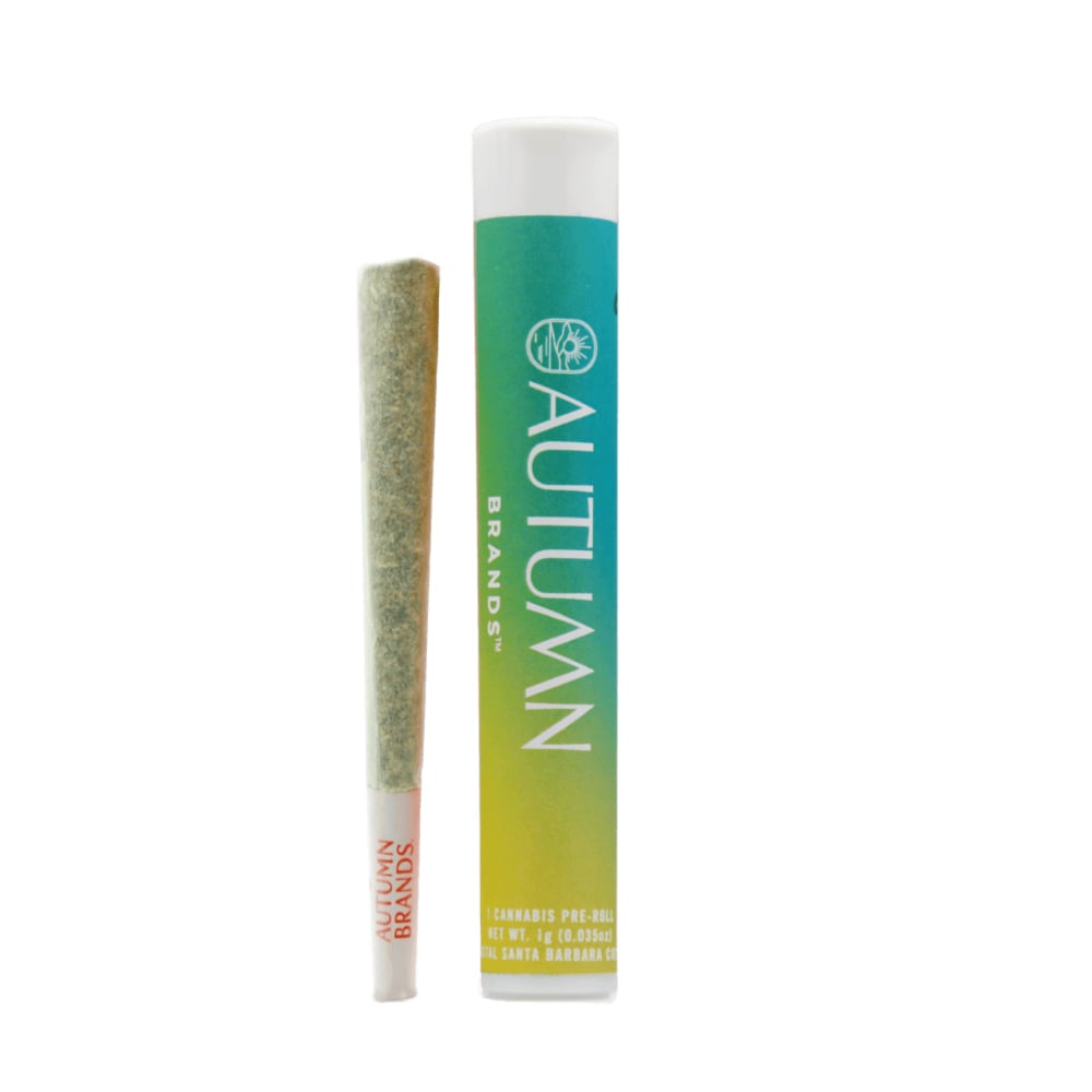 Ocean Haze [1g]