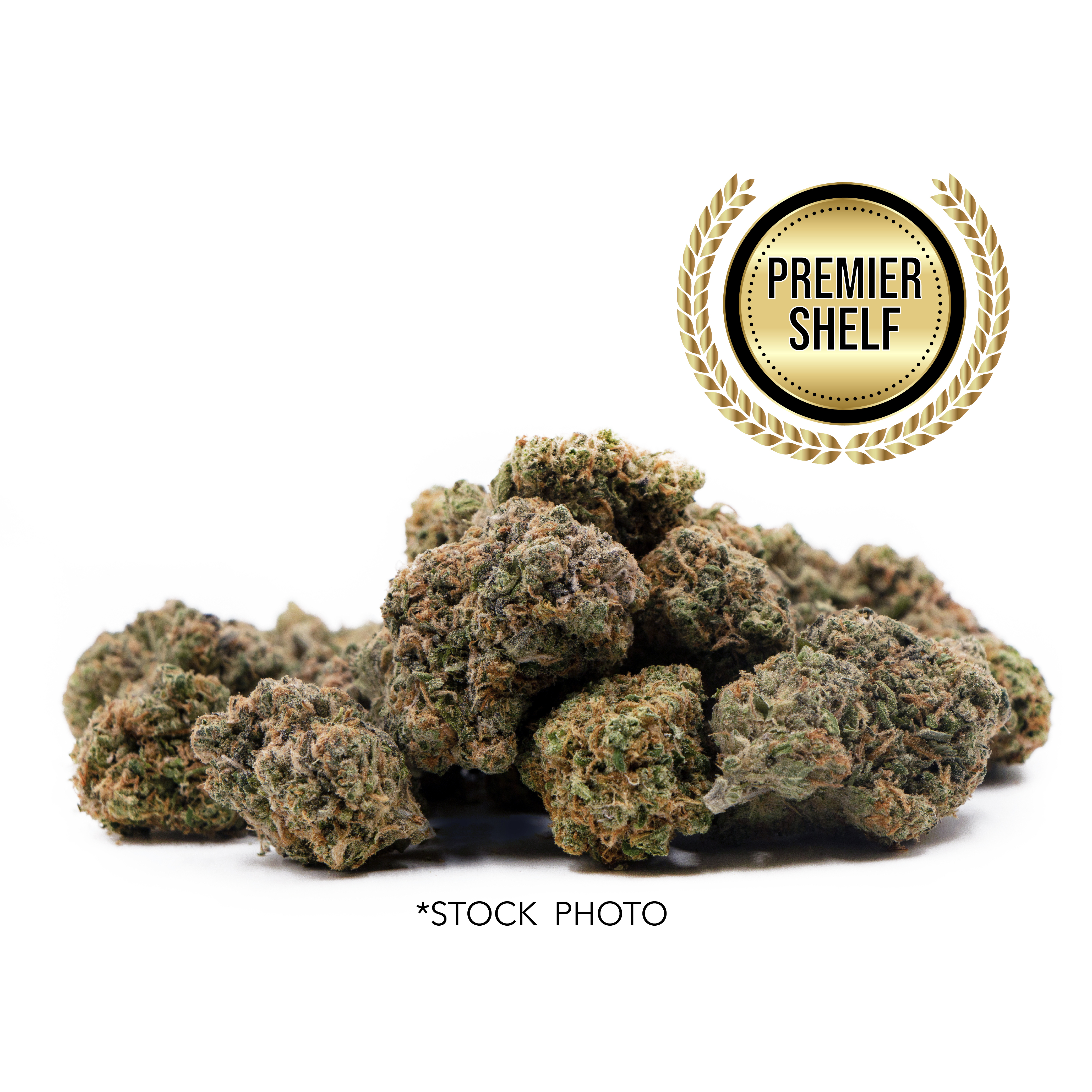 Mai Tai | Premier Shelf - Jane