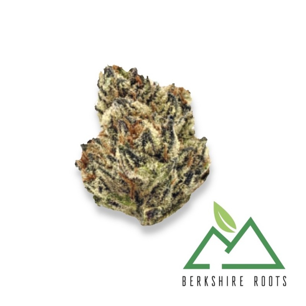 Berkshire Roots - Mandarin Cookies Flower