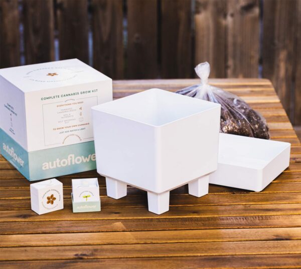 Grow Kit Seed