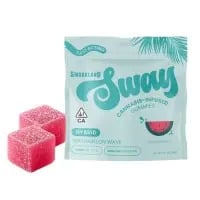 Watermelon Wave [10pk] (100mg)